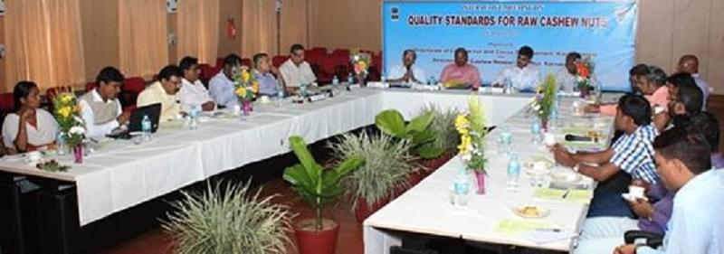 Directorate of Cashew Research Puttur Campus photo 2