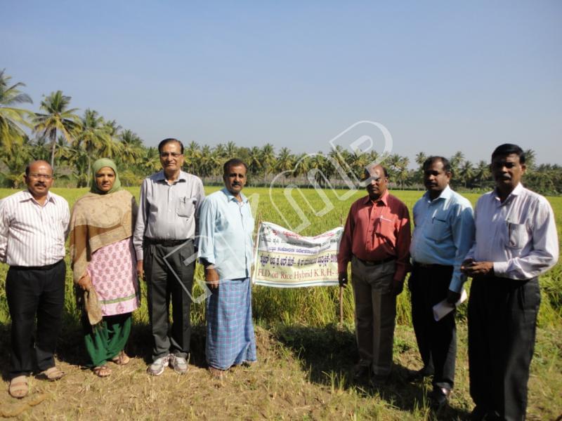 Indian Institute of Rice Research Hyderabad Agricultural Fields photo 5