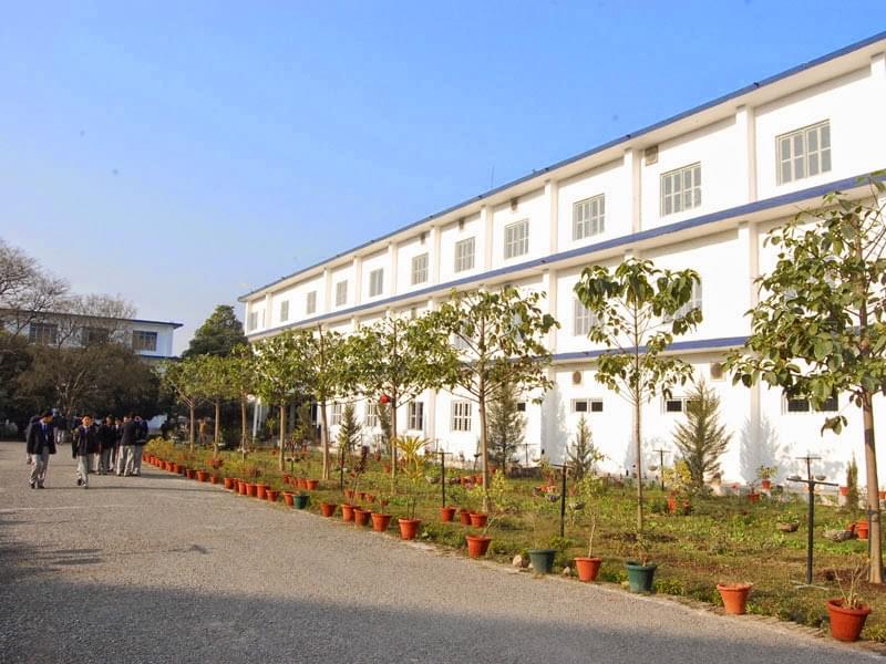 Amrapali Institute of Technology & Science Nainital Campus photo 3