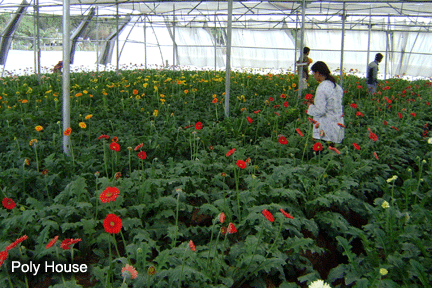 Shri Shivaji College of Horticulture Amravati Campus photo 5