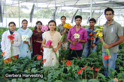 Shri Shivaji College of Horticulture Amravati Campus photo 6