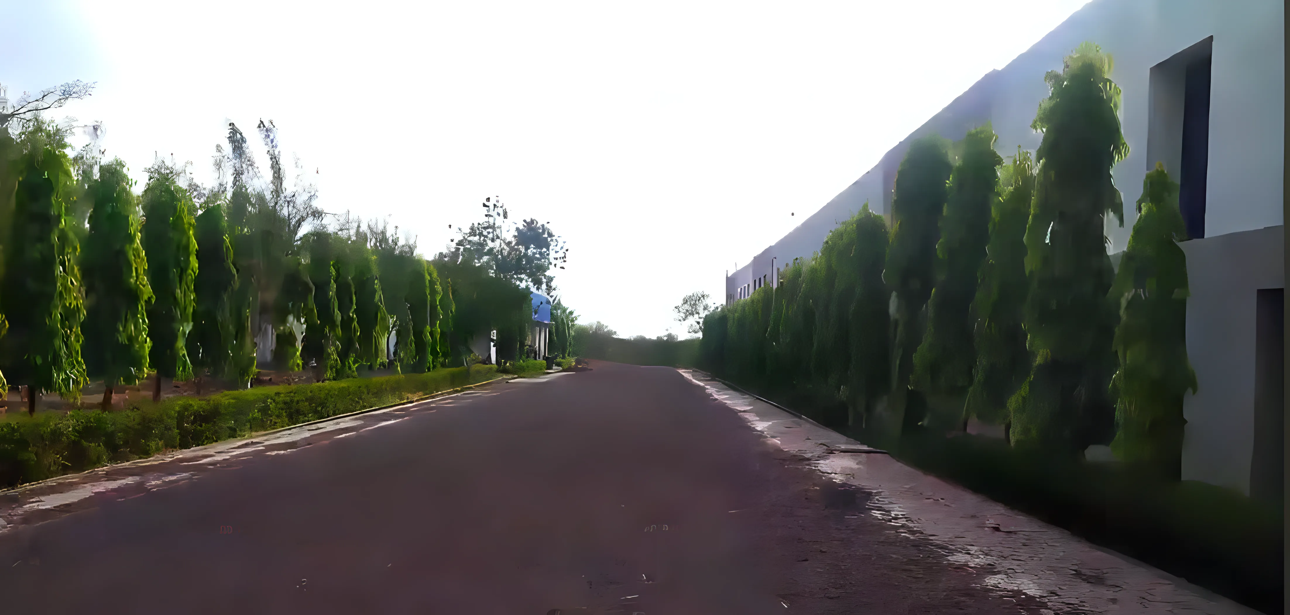 Mahakal Institute of Technology Ujjain Campus photo 12