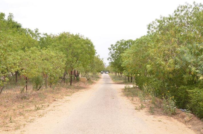 Shree Bhawani Niketan Institute of Technology and Management Jaipur Campus photo 5