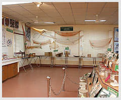 Central Marine Fisheries Research Institute Chennai Facilities and Campus photo 2