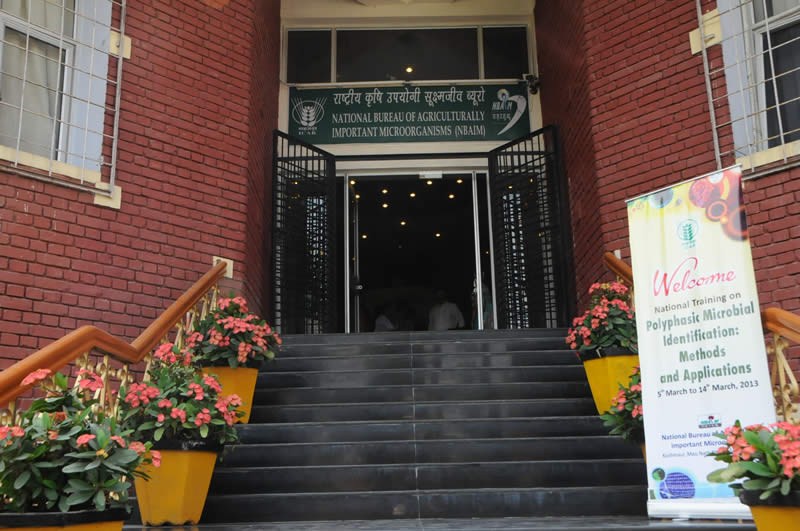 National Bureau of Agriculturally Important Microorganisms Kheri Campus photo 2