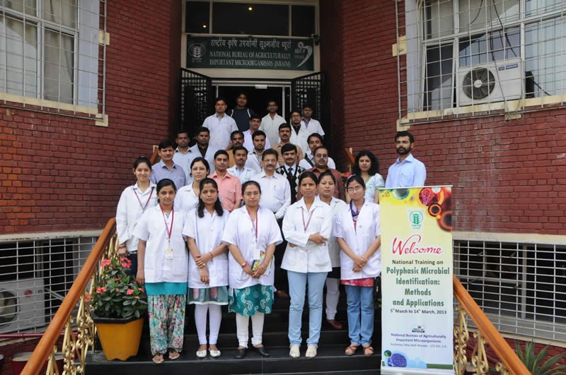 National Bureau of Agriculturally Important Microorganisms Kheri Campus photo 3