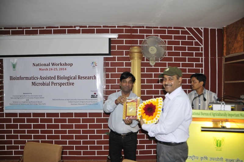 National Bureau of Agriculturally Important Microorganisms Kheri Campus photo 8