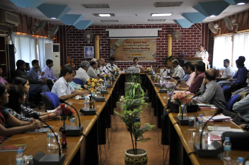 National Bureau of Agriculturally Important Microorganisms Kheri Campus photo 9