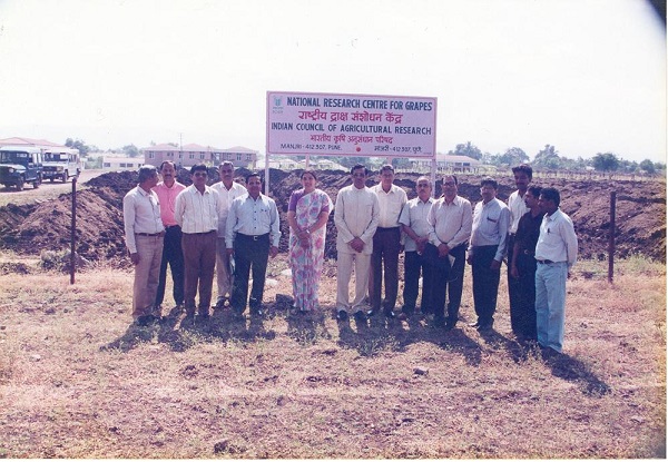 National Research Centre for Grapes Manjri Campus photo 1