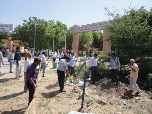 National Research Centre on Camel Bikaner Campus photo 5