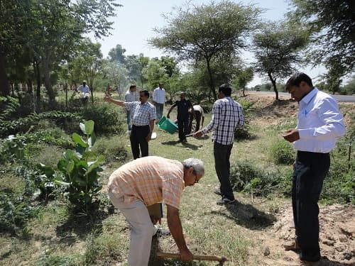 National Research Centre on Camel Bikaner Campus photo 6