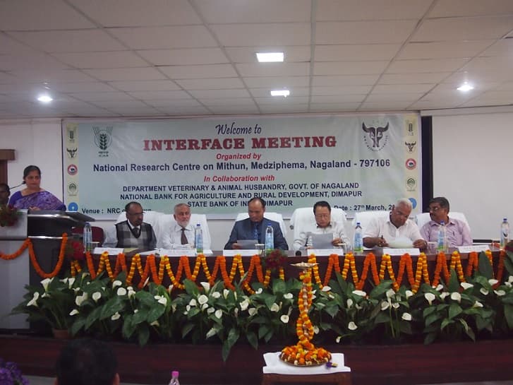 National Research Centre on Mithun Dimapur Campus photo 3