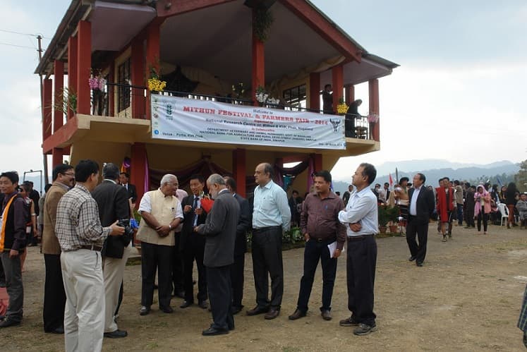 National Research Centre on Mithun Dimapur Campus photo 4