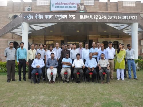 National Research Centre Seed Spices Ajmer Campus photo 5
