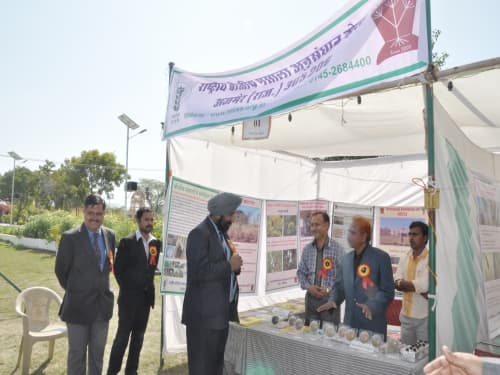 National Research Centre Seed Spices Ajmer Campus photo 6