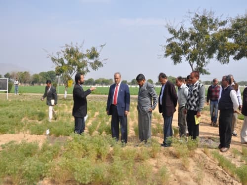National Research Centre Seed Spices Ajmer Campus photo 8