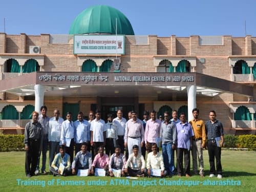 National Research Centre Seed Spices Ajmer Campus photo 10