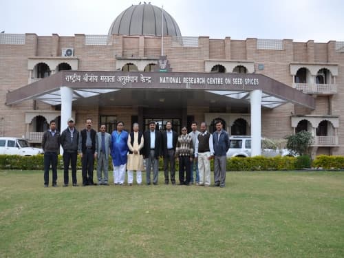 National Research Centre Seed Spices Ajmer Campus photo 3
