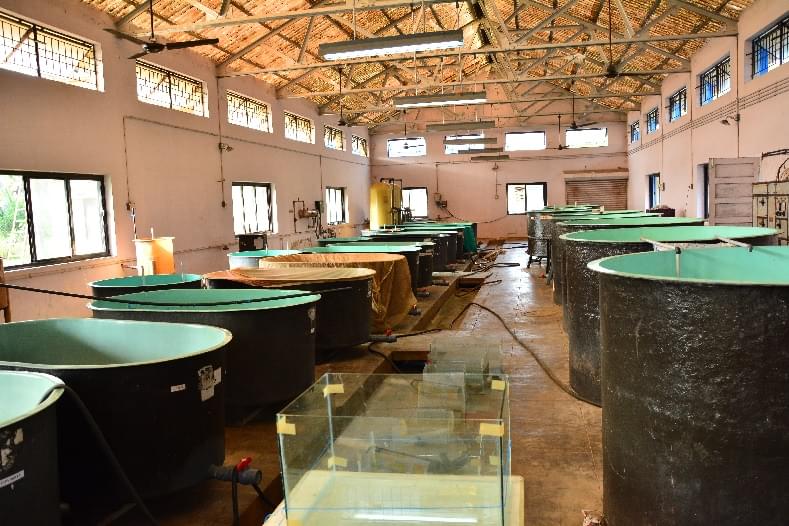 KUFOS Campus and Facilities photo 3