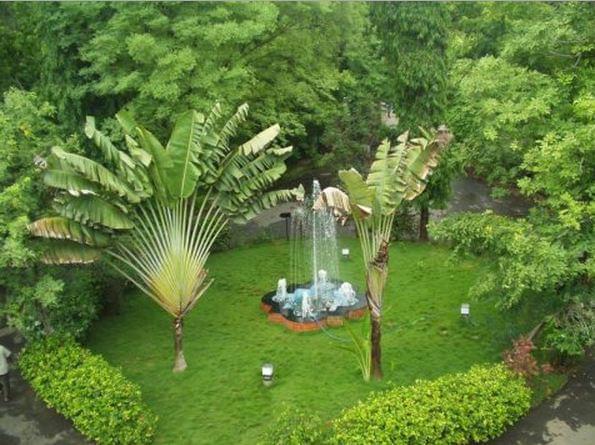 The Institute of Mathematical Sciences Chennai Campus photo 6