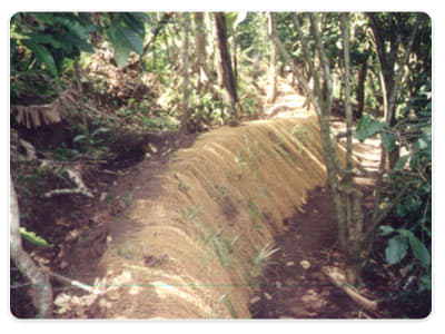 National Coir Research and Management Institute Thiruvananthapuram General photo 1