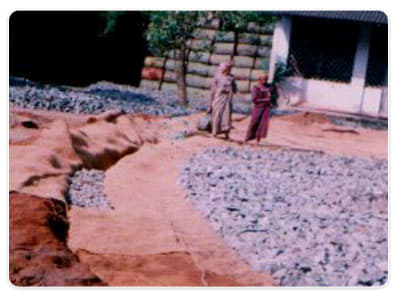 National Coir Research and Management Institute Thiruvananthapuram General photo 9