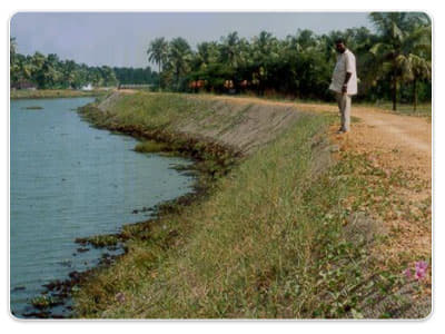 National Coir Research and Management Institute Thiruvananthapuram General photo 11