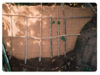 National Coir Research and Management Institute Thiruvananthapuram General photo 2