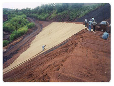 National Coir Research and Management Institute Thiruvananthapuram General photo 5