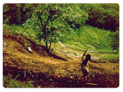 National Coir Research and Management Institute Thiruvananthapuram General photo 6