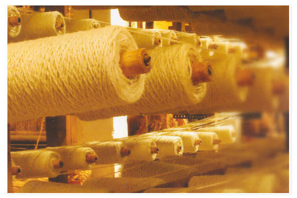 National Coir Research and Management Institute Thiruvananthapuram Infrastructure photo 5