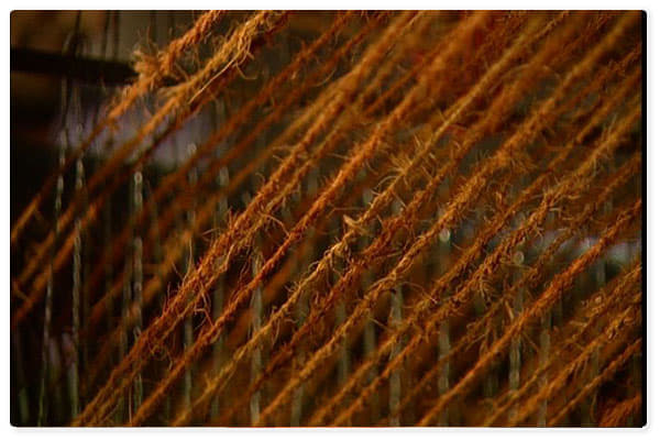 National Coir Research and Management Institute Thiruvananthapuram Infrastructure photo 14