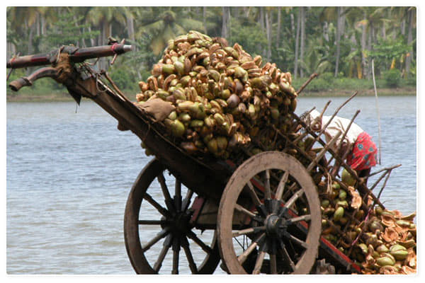 National Coir Research and Management Institute Thiruvananthapuram Infrastructure photo 16