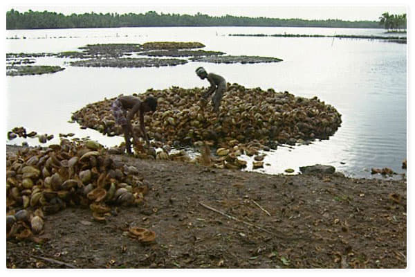 National Coir Research and Management Institute Thiruvananthapuram Infrastructure photo 17