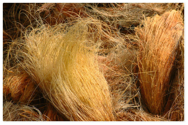 National Coir Research and Management Institute Thiruvananthapuram Infrastructure photo 19