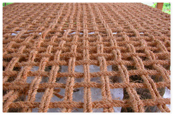 National Coir Research and Management Institute Thiruvananthapuram Infrastructure photo 20