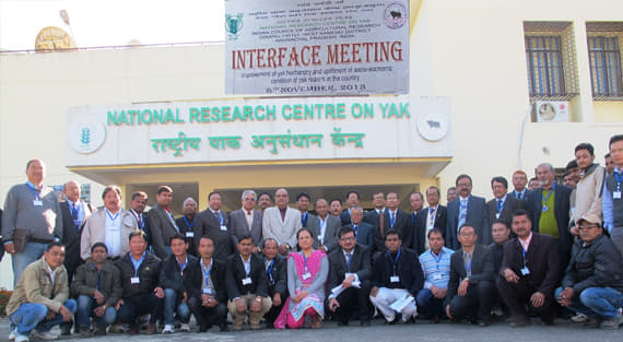 National Research Centre on Yak West Kameng Campus photo 3