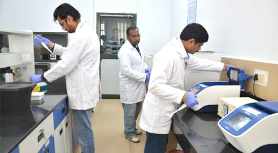 National Research Centre on Yak West Kameng Infrastructure photo 7