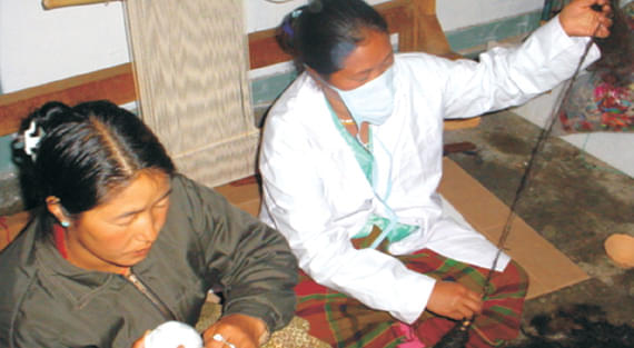 National Research Centre on Yak West Kameng Infrastructure photo 3