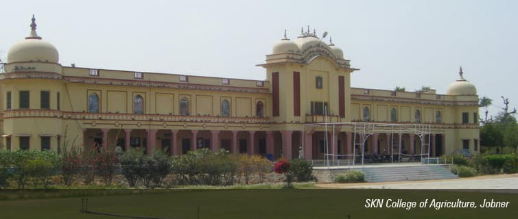 SKN College of Agriculture Jaipur Campus photo 3