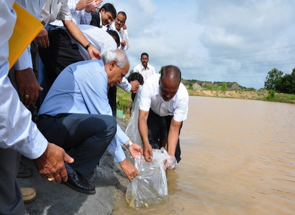 University of Agricultural and Horticultural Sciences Bangalore Festivals photo 13