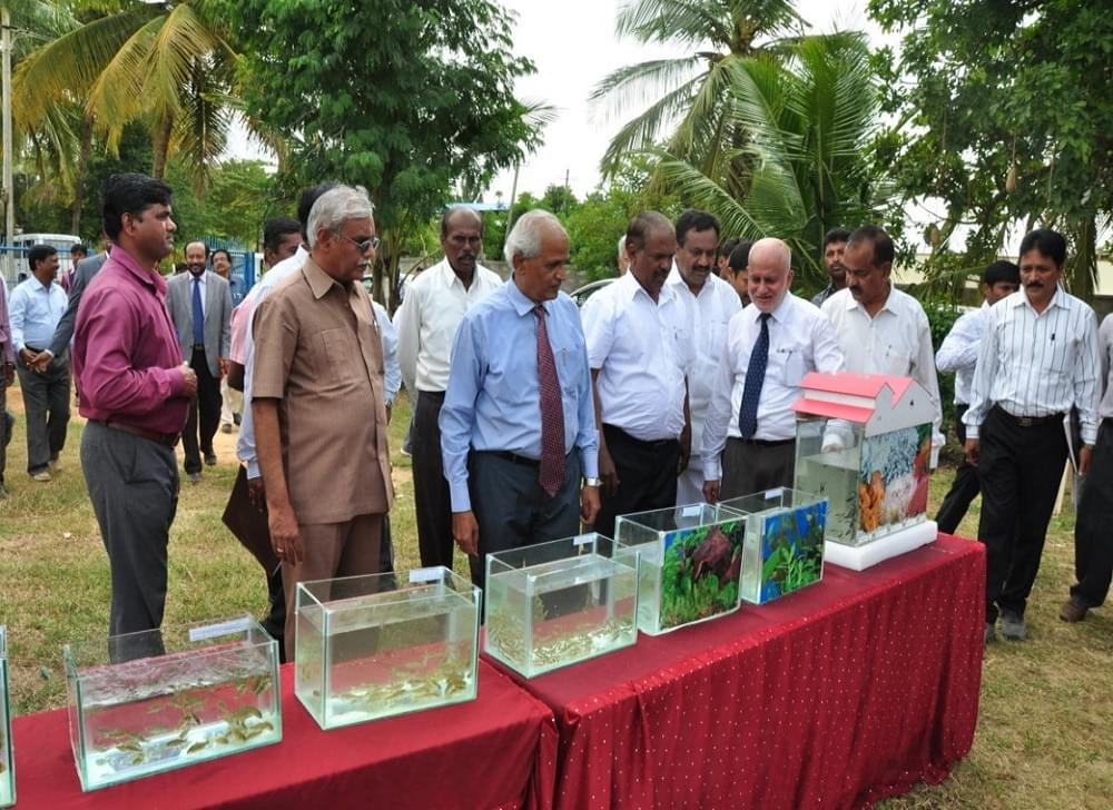 University of Agricultural and Horticultural Sciences Bangalore Festivals photo 16