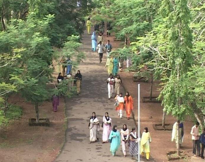 Farook college (Autonomous) Kozhikode Campus photo 2