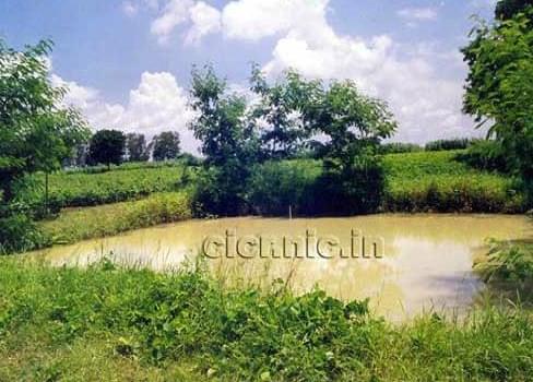 Central Institute of Cotton Research Nagpur General photo 2