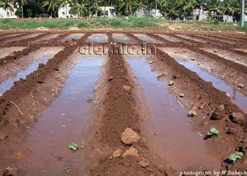 Central Institute of Cotton Research Nagpur General photo 5