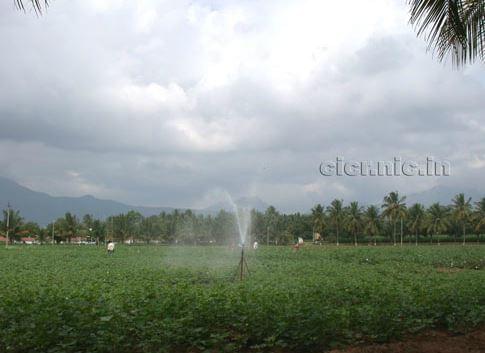Central Institute of Cotton Research Nagpur General photo 12