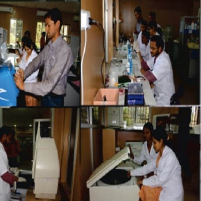 RMD College of Agriculture and Research Station Raipur Campus photo 5