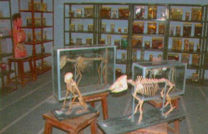 College of Veterinary Science and Animal Husbandry Banaskantha Campus photo 4