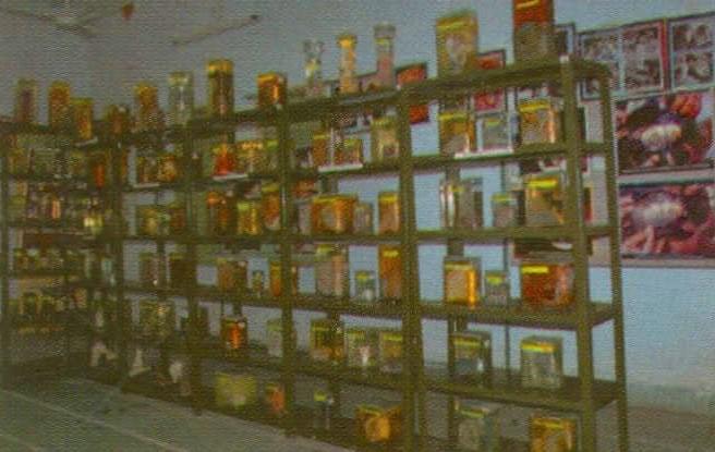 College of Veterinary Science and Animal Husbandry Banaskantha Campus photo 8