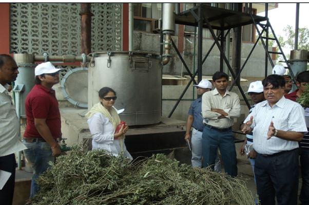 Central Institute of Medicinal and Aromatic Plants Lucknow Campus photo 1